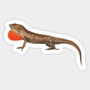 Brown Anole Artwork Sticker